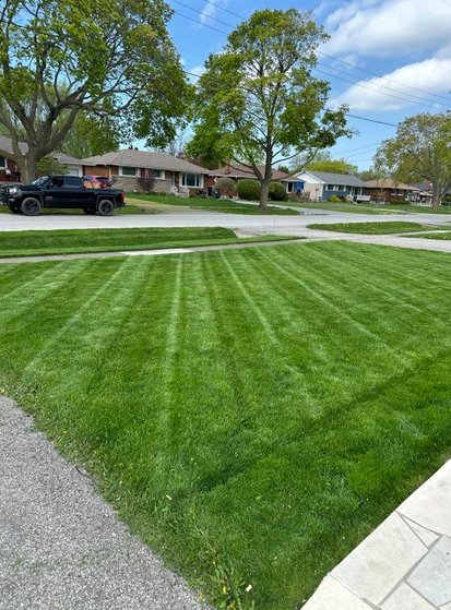 Argentino Property Solutions landscaping work
